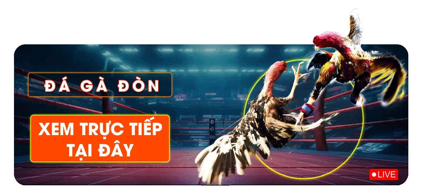 trực tiếp đá gà